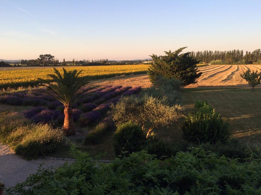 La Cle D'Ailleurs Bed & Breakfast Lamotte-du-Rhone Exterior photo