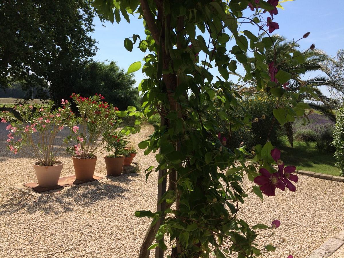 La Cle D'Ailleurs Bed & Breakfast Lamotte-du-Rhone Exterior photo